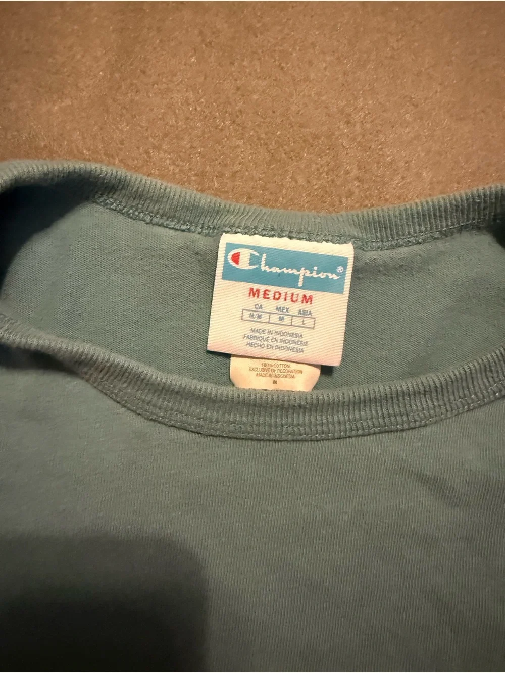 Champion Classic Logo T-Shirt Men’s Medium Blue Green Short Sleeve Tee - Picture 3 of 4
